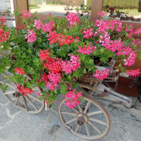Alloggio del contadino Sondrio Esterno foto