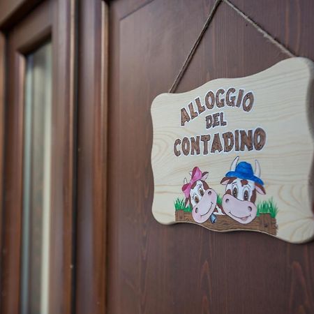 Alloggio del contadino Sondrio Esterno foto