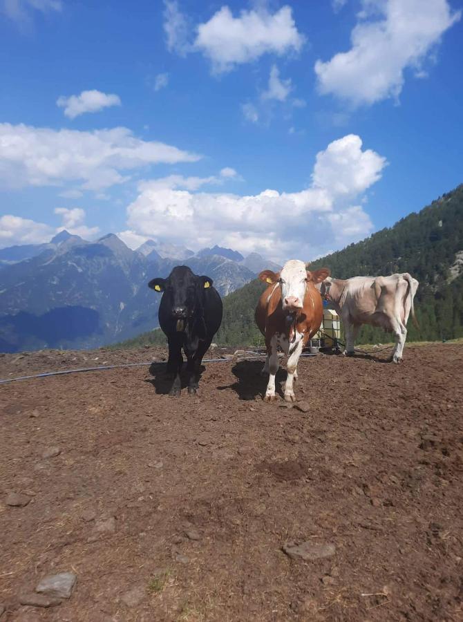 Alloggio del contadino Sondrio Esterno foto