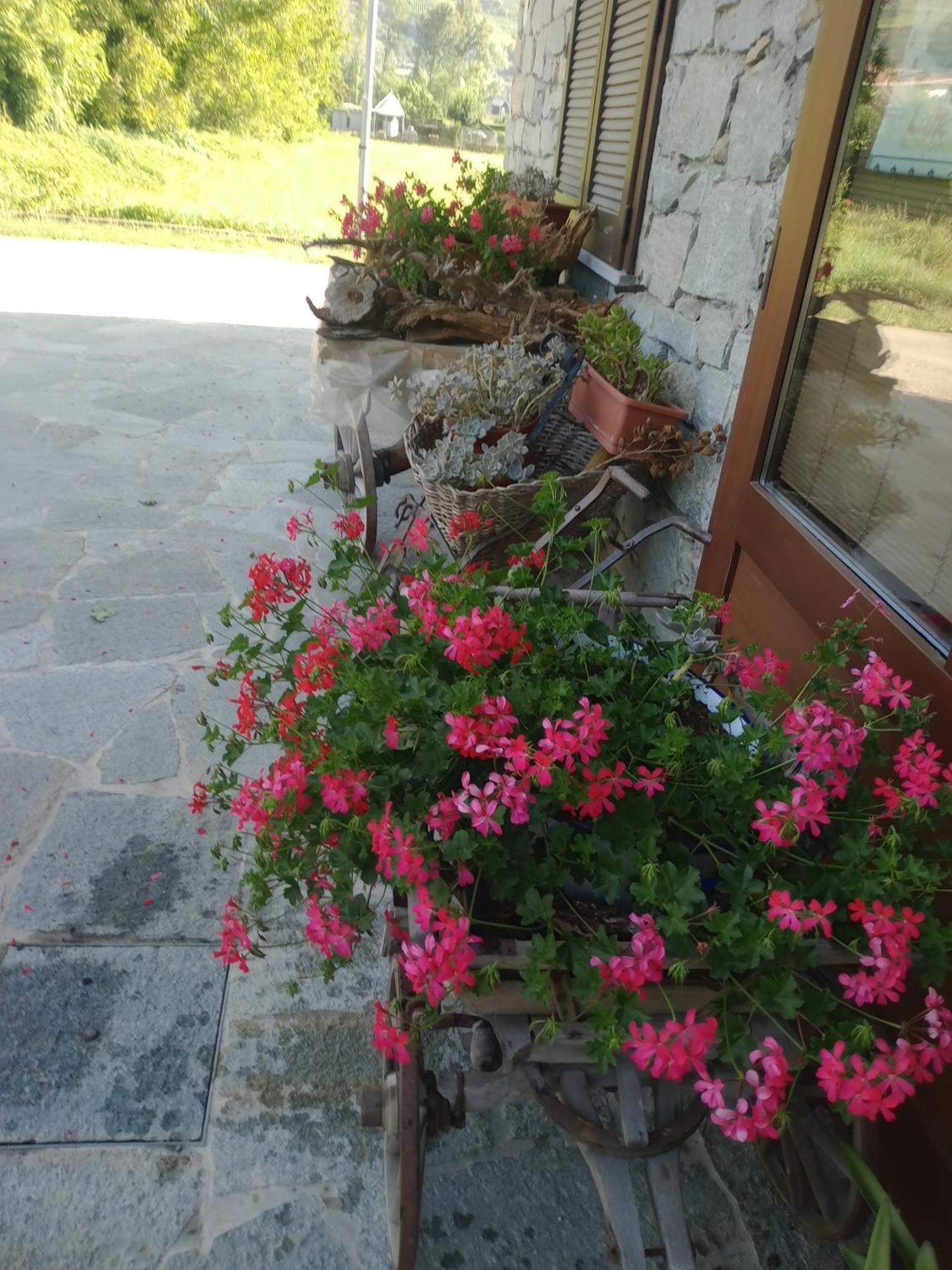 Alloggio del contadino Sondrio Esterno foto