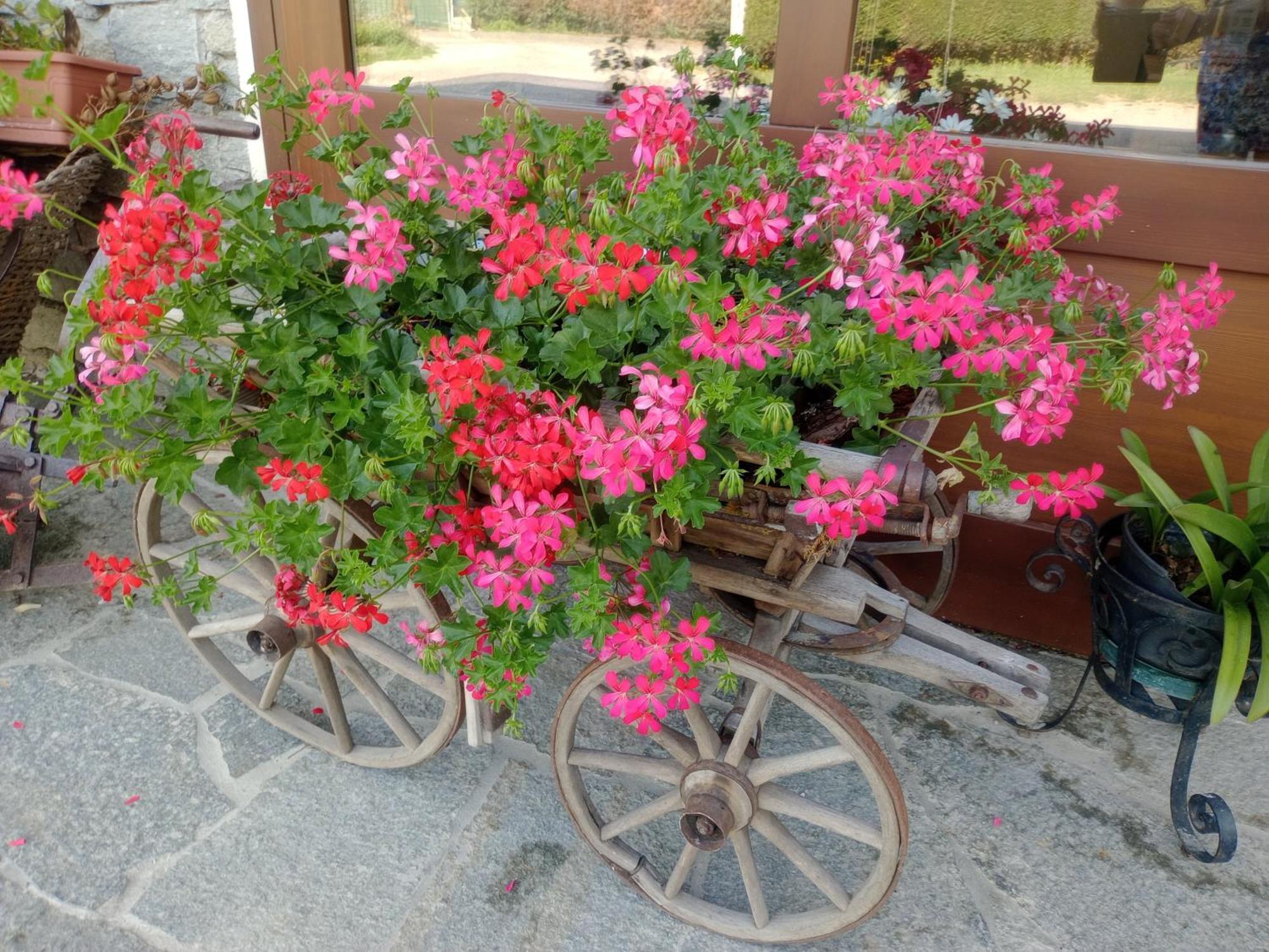 Alloggio del contadino Sondrio Esterno foto