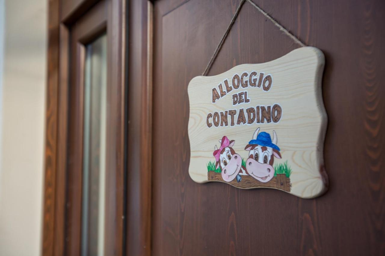 Alloggio del contadino Sondrio Esterno foto