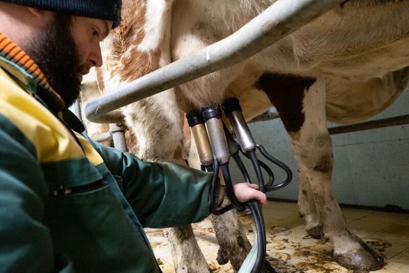 Alloggio del contadino Sondrio Esterno foto